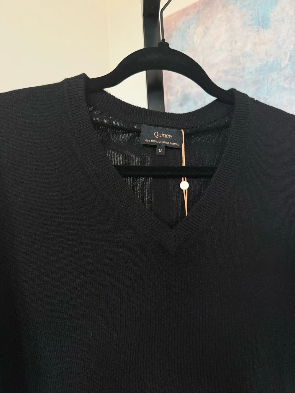 NEW Quince 100% Mongolian Cashmere V Neck Pull Over Sweater Mens Medium Black